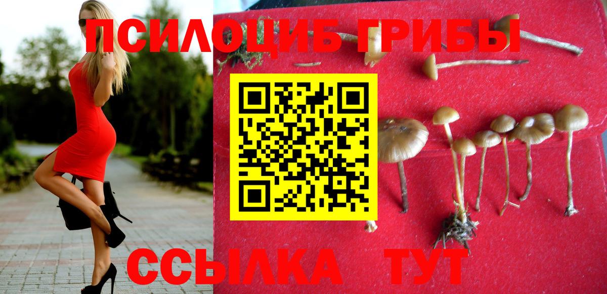 Псилоцибиновые грибы Psilocybine cubensis Егорьевск