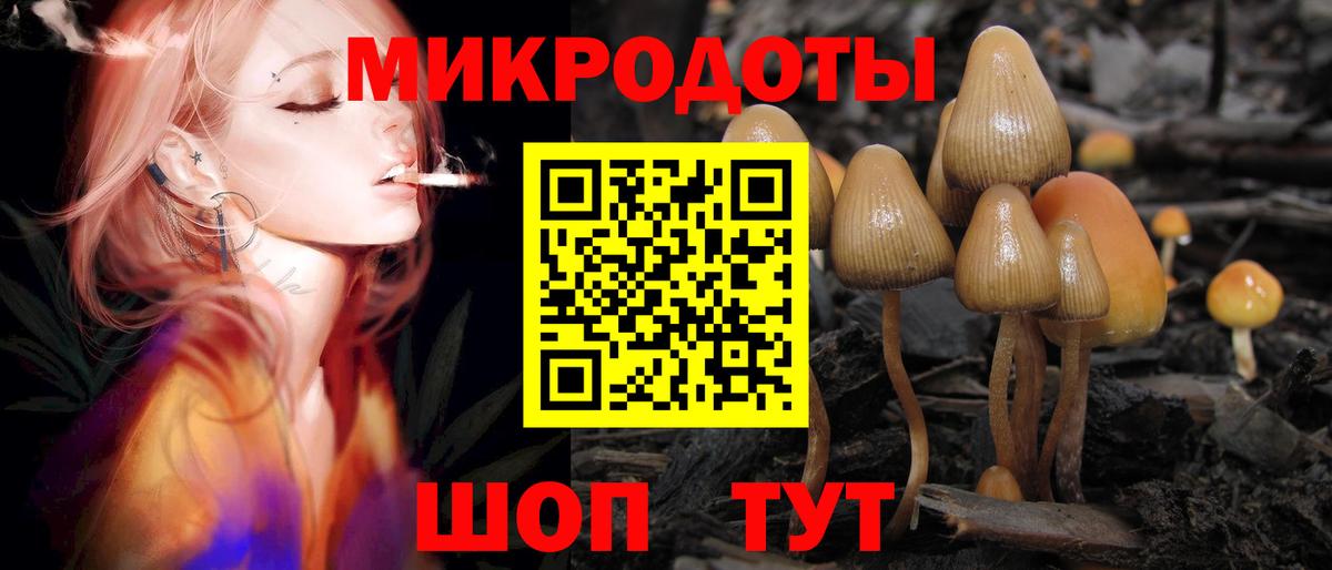 как найти закладки  Вход с VPN  Егорьевск  Галлюциногенные грибы мицелий 